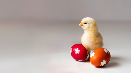 Wielkanocny kurczaczek z pisankami - Wielkanoc, kurczaczek i dwie pisanki, życzenia wielkanocne - obrazy, fototapety, plakaty