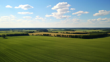 Fototapeta na wymiar Aerial View of a Peaceful and Serene Field Under the Glowing Sun
