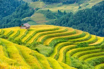 Papier Peint photo autocollant Mu Cang Chai Rice fields on terraced of Mu Cang Chai, YenBai, Vietnam.