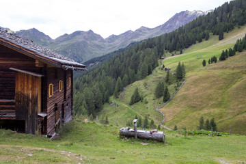 Kamelisenalm in Osttirol