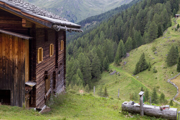 Kamelisenalm in Osttirol