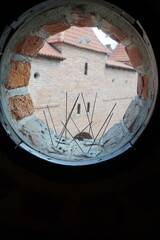Round window with pins from birds. The spikes are made so that the birds do not sit down.