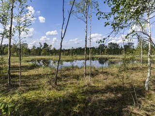 Fototapeta premium Beautiful landscape on the Vsevolozhsk Lakes, in the Leningrad region in North-West Russia
