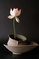 Naklejka na ściany i meble A flower in a vase sitting on a table.