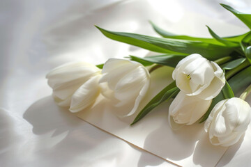 Obraz na płótnie Canvas White tulips on a white table