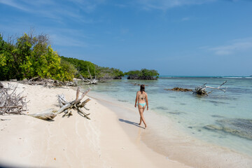 Woman walking on a white sandy beach with fallen trees in a clear turquoise sea