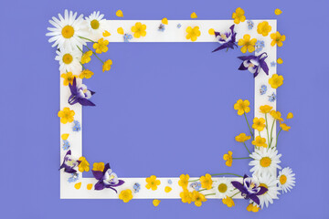 Spring flower and wildflower background frame on purple. Floral Beltane design with daisy, aquilegia, forget me not and buttercup flowers used in natural alternative herbal medicine.