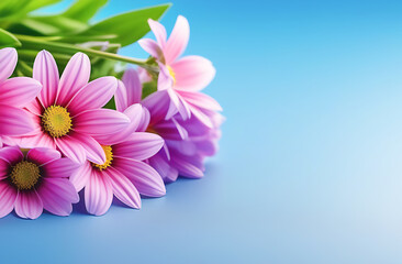 Bouquet of pink chrysanthemums on a blue background, close-up, plenty of space for text