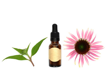 Echinacea healing remedy for coughs colds and bronchitis. Alternative herbal medicine with flower head and leaf sprig on white background. Natural herbal medicine.
