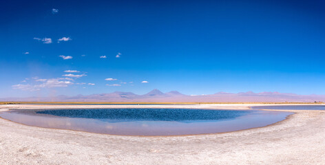 desert landscape of the highlands of Chile