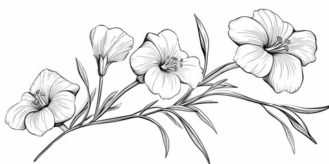 Black and white flowers, sketch, clipart, lineart, ink. Generative ai