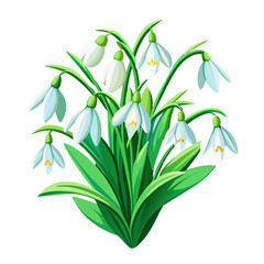 spring bouquet of snowdrops flowers with green leaves on white