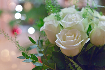 White roses with green leaves isolated on blur background .