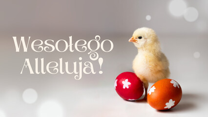 Wesołego Alleluja! - Wielkanoc, kurczaczek i dwie pisanki, życzenia wielkanocne - obrazy, fototapety, plakaty
