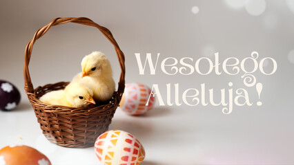 Wesołego alleluja! - dwa kurczaczki w koszyku wiklinowym w otoczeniu pisanek, urocze pisklęta - obrazy, fototapety, plakaty