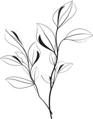 Natural Strokes Vector Leaf Logo Hand Drawn Botany Black Vector Leaf Icon