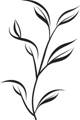 Botanical Brushstrokes Black Vector Leaf Logo Leafy Sketchbook Plant Leaves Badge Icon