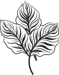 Inked Leaves Black Vector Leaf Emblem Botanical Beauty Plant Leaves Badge Design
