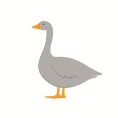 Cute cartoon grey goose. Vector illustration