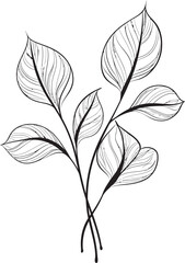 Natural Sketchbook Vector Emblem Handcrafted Botany Black Vector Logo