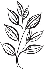 Handcrafted Botany Black Vector Logo Design Flora Sketch Plant Leaves Emblem Badge