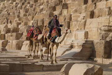 Camel on the Valley of the Kings