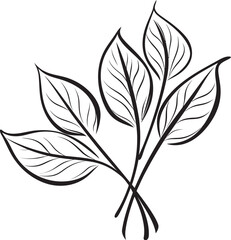 Botanical Sketchbook Black Vector Symbol Leafy Impressions Plant Leaves Icon Design