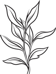 Leafy Sketch Hand Drawn Logo Design Botanical Beauty Black Vector Leaf Badge
