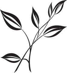 Lush Drawings Black Vector Leaf Icon Leafy Lines Plant Leaves Logo Emblem