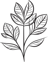 Verdant Vision Black Vector Logo Emblem Leafy Lines Plant Leaves Graphic Badge