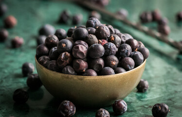 Juniper