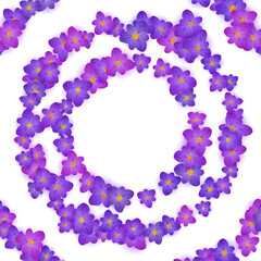 Crocus spring flowers wreath text frame vector card or banner. Saffron flowers crocus blossom spring ring frame border for text. Easter greeting card saffron floral design. Religious holiday banner