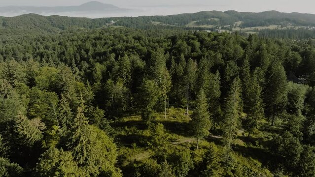 In the midst of mountains filmed with a drone, a vast green forest and breathtaking landscapes