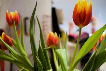Rot-gelber Tulpenstrauß in Vase in Raum