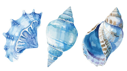 blue seashells   conch shell and cockle shell. Sea s - obrazy, fototapety, plakaty