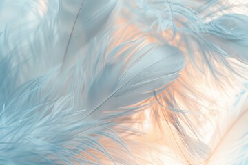 Fototapeta na wymiar Close-up of soft white feathers illuminated by a gentle light.