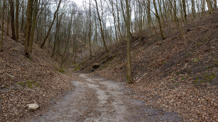 Ravine between Bekes Hill and Altana Hill in Kalnai park of Vilnius