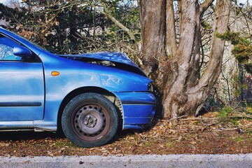 Car crashed on tree trunk