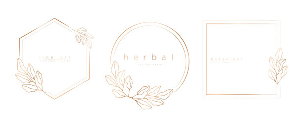 Set of frame templates in minimal linear style with hand drawn branches and leaves. Elegant frame. Botanical vector illustration for labels, corporate identity, wedding invitation, logo, save the date