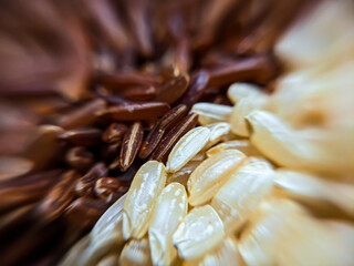 Dark and light long basmati rice close up. Macro photo of brown and milky long rice