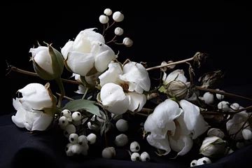 Kussenhoes a white flowers on a black background © Sveatoslav