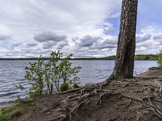 Fototapeta premium Beautiful landscape on the Vsevolozhsk Lakes, in the Leningrad region in North-West Russia