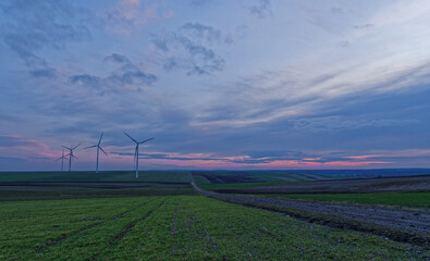 Turbiny wiatrowe w Tomaszowie Lubelskim wieczorem. © Adam Sadlak