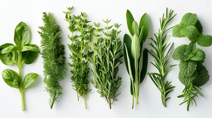 Fotobehang Assortment of fresh herbs on a white background © Cla78