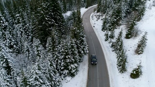Car driving on winter country road in snowy forest, aerial view from drone in 4k.