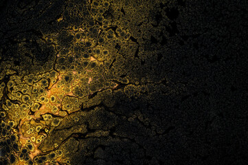 Gold glitter on black acrylic paint making luxury theme marble wallpaper