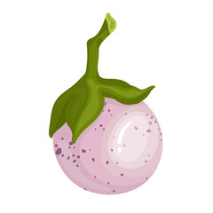 Juicy ripe eggplant vegetable. Vector graphics.