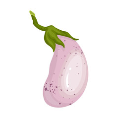 Juicy ripe eggplant vegetable. Vector graphics.
