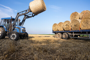 Obraz premium Agriculture straw wagon in field