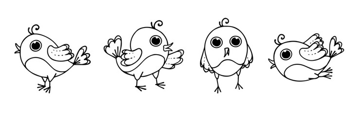 A set of linear sketches, doodles of small, funny birds. Vector graphics.